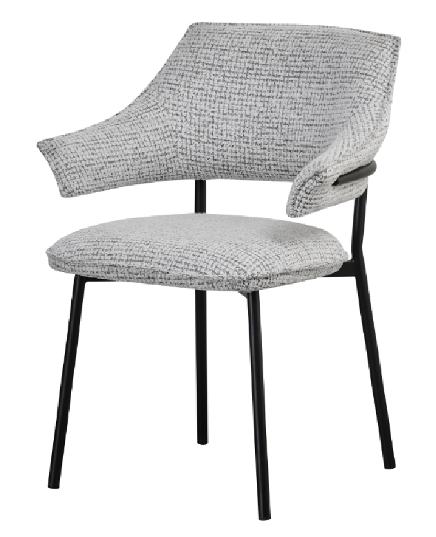 Dining Chair – AM-C35