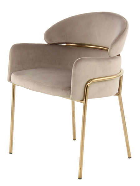 Dining Chair – AM-PL03