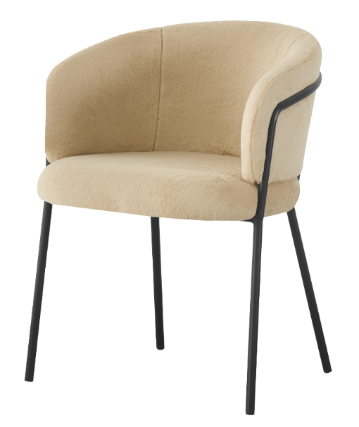 Dining Chair – AM-C415