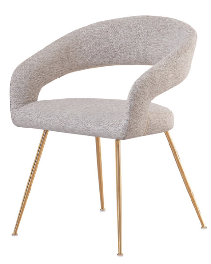Dining Chair – DB-01