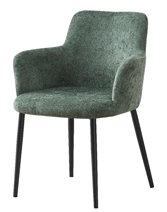 Dining Chair – AM-DC175